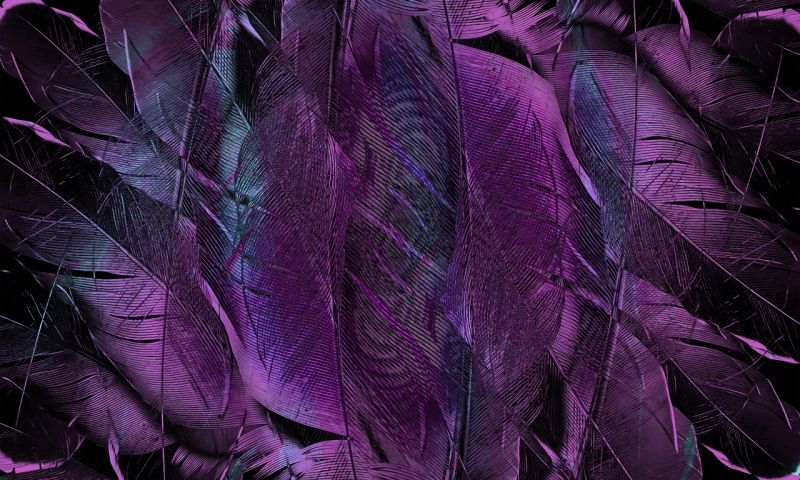 farve-personlighed